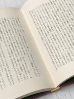 殿上の杖〈第2部〉―明石検校の生涯 (1980年)