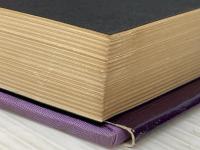 紫の履歴書 (1968年)