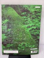 ピアノソロ emotional & relaxing 「image」 ヤマハミュージックエンタテイメントホールディングス 大橋 恵
