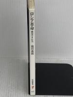 ロシア革命――破局の8か月 (岩波新書) 岩波書店 池田 嘉郎