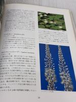 新聖書植物図鑑 教文館 広部 千恵子