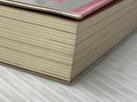 あぶない日本語学校: アジアからの就学生 新泉社