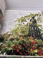 Herb Garden DK NigelMarven