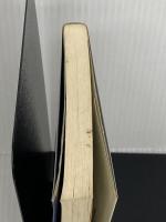 放射光が解き明かす驚異のナノ世界―魔法の光が拓く物質世界の可能性 (ブルーバックス) 講談社