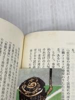 任天堂商法の秘密: いかにして子ども心を掴んだか (ノン・ブック 264) 祥伝社 高橋 健二