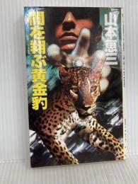 闇を翔ぶ黄金豹 (TAIRIKU NOVELS) 大陸書房 山本 恵三
