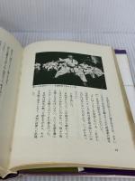 【※イタミ有り】拳道伝説 福昌堂 山平 重樹