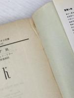 殺す風 (1978年) (ハヤカワ・ミステリ文庫)