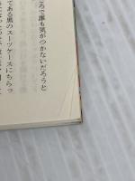 三つのブルジョワ物語 (ラテンアメリカの文学) (集英社文庫) 集英社 ホセ・ドノーソ