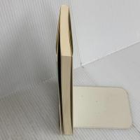 名作の書き出し 漱石から春樹まで (光文社新書 422) 光文社 石原千秋