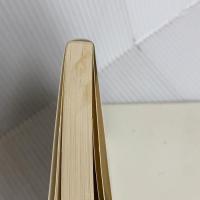 名作の書き出し 漱石から春樹まで (光文社新書 422) 光文社 石原千秋