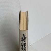 五稜郭残党伝 集英社 佐々木 譲