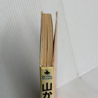 山からの手紙: ぼくは山暮らし屋 (BE-PAL BOOKS) 小学館 田渕 義雄