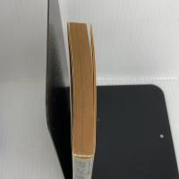 セラピス・愛の炎 (集英社文庫 コバルトシリーズ 107-M アレキサンドリア物語 6) 集英社 山崎 晴哉