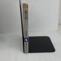 風の王宮 (集英社文庫 コバルトシリーズ 107-J アレキサンドリア物語 3) 集英社 山崎 晴哉