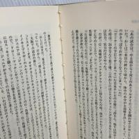 無敵の男の敵 (門茂男ザ・プロレス365) 八曜社 門 茂男
