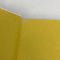 【※イタミ有り】ムソルグスキー: その作品と生涯 新読書社 アビゾワ