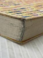 花嫁を焼かないで: インドの花嫁持参金殺人が問いかけるもの 明石書店 謝 秀麗