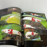 レッドビ-・シュリンプ vol.2: ビ-シュリンプ専門情報誌 ピーシーズ