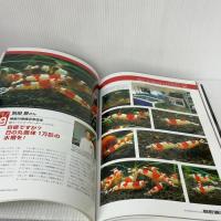 レッドビ-・シュリンプ v.3: ビ-シュリンプ専門情報誌 ピーシーズ