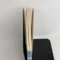 【※イタミ有り】不思議な福の神仙台四郎の解明: なぜ御利益は必ず訪れるのか その実在と世界の分析 近代文藝社 大沢 忍