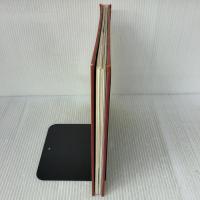 The Very Special Valentine (Templar, TEMP) Chronicle Books MaggieKneen