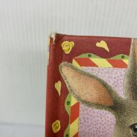 The Very Special Valentine (Templar, TEMP) Chronicle Books MaggieKneen