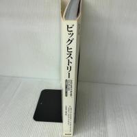 【※カバー無し】ビッグヒストリー われわれはどこから来て、どこへ行くのか――宇宙開闢から138億年の「人間」史 明石書店 シンシア・ストークス・ブラウン