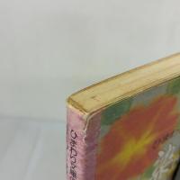 【※イタミ有り】染めてあそぶ (ひまわり文庫の伝承手づくり遊び 3) 草土文化 徳村 彰