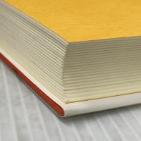 高速増殖炉もんじゅ: 巨大核技術の夢と現実 七つ森書館 小林 圭二