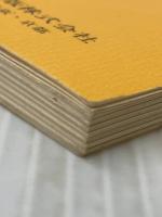 口蓋裂 (新臨床医学文庫 (205))