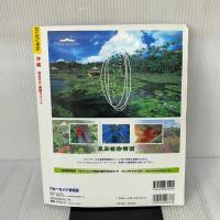 【※イタミ有り】沖縄海あそび楽園リゾート (ブルーガイド情報版 No. 133 わくわく歩き) 実業之日本社