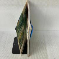 【※イタミ有り】沖縄海あそび楽園リゾート (ブルーガイド情報版 No. 133 わくわく歩き) 実業之日本社