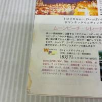【※イタミ有り】沖縄海あそび楽園リゾート (ブルーガイド情報版 No. 133 わくわく歩き) 実業之日本社