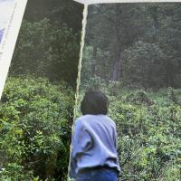 【※イタミ有り】ムツゴロウとゆかいな仲間たち: 畑正憲珠玉の写真集 (3) 朝日出版社 畑 正憲