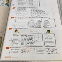 【※カバー無し・多数の書き込み有り】マーフィーのケンブリッジ英文法(初級編)第4版 別冊解答・ダウンロード可能なオーディオ付