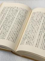 ※イタミ有※カバー無し 八千米の上と下 (1963年)  ヘルマン・ブール
