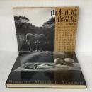 山本正道作品集: WORKS OF MASAMICHI YAMAMOTO1965-1988 新潮社 山本 正道