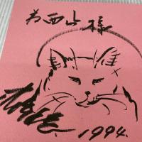 猫はもちろん猫だけど JDC出版 難波 利三