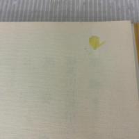虫時雨―熊谷守一の素描・水墨画 世界文化社 熊谷 守一