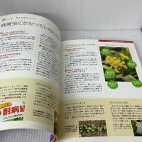 【※カバー無し】植物の病気と害虫 防ぎ方・なおし方―よく効く薬と防除法がすぐわかる! (主婦の友αブックス) 主婦の友社 草間 祐輔