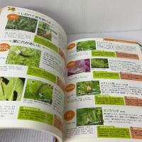 【※カバー無し】植物の病気と害虫 防ぎ方・なおし方―よく効く薬と防除法がすぐわかる! (主婦の友αブックス) 主婦の友社 草間 祐輔