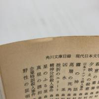 【※イタミ有り】湾岸道路 (角川文庫 緑 371-32) KADOKAWA 片岡 義男