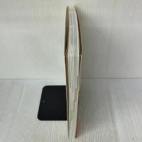 NHK趣味の園芸 やさいの時間 藤田智の 野菜づくり大全 (生活実用シリーズ) NHK出版