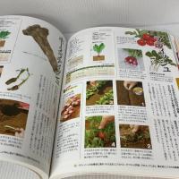 NHK趣味の園芸 やさいの時間 藤田智の 野菜づくり大全 (生活実用シリーズ) NHK出版