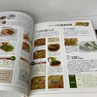 NHK趣味の園芸 やさいの時間 藤田智の 野菜づくり大全 (生活実用シリーズ) NHK出版