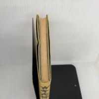 【※イタミ有り】ガキ大将の森 小学館スクウェア