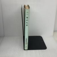 神の化身 竜王文庫