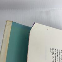 【※イタミ有り】パラケルススとその周辺 (神秘学叢書) 水声社 アレクサンドル コイレ