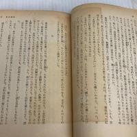 紅花物語 (角川文庫) KADOKAWA 水上 勉
